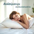 ปลอกหมอนใยไผ่ | Bamboo Pillowcase