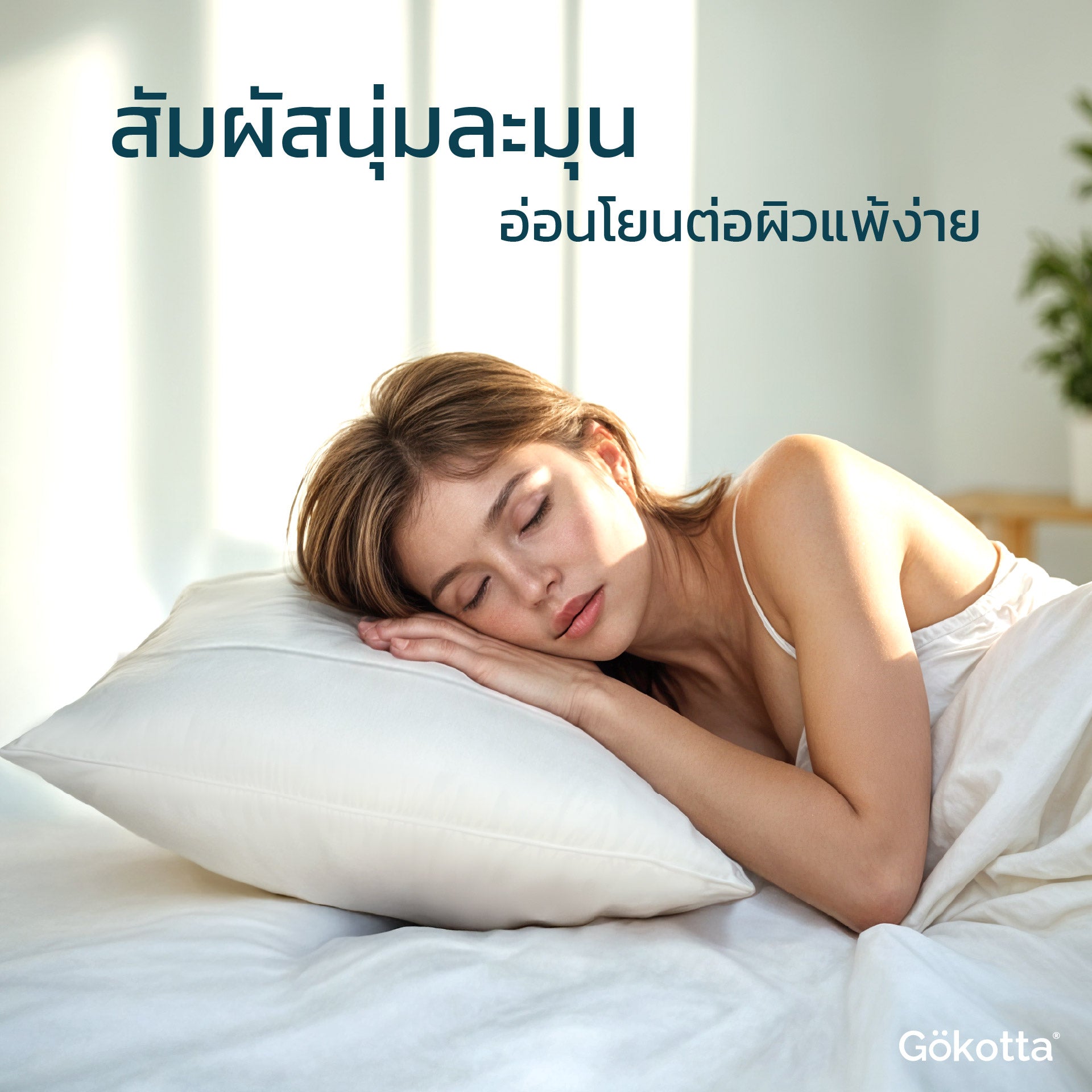 ปลอกหมอนใยไผ่ | Bamboo Pillowcase