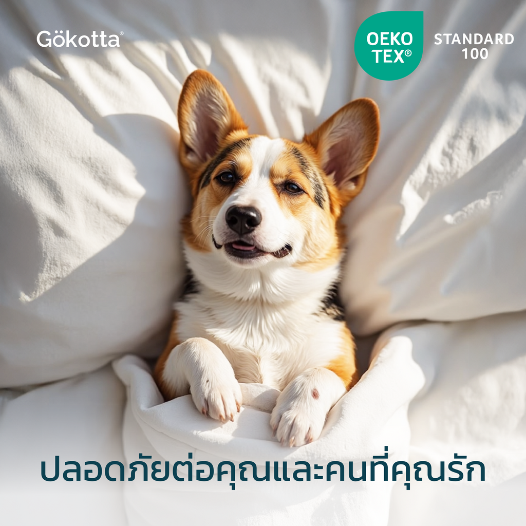 ปลอกหมอนใยไผ่ | Bamboo Pillowcase